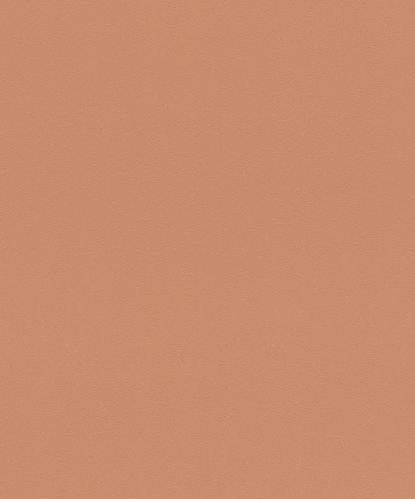 SALSA Wallpaper Pattern No 807608