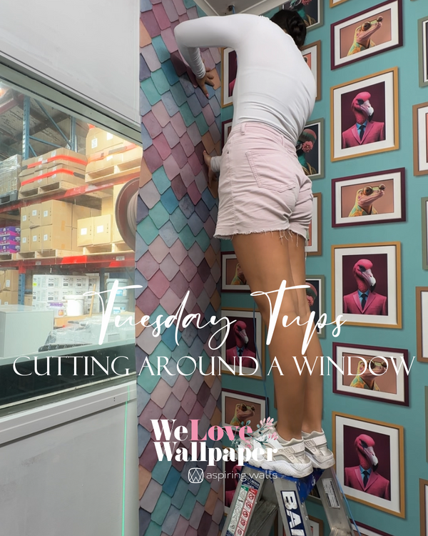 How to cut around a window!