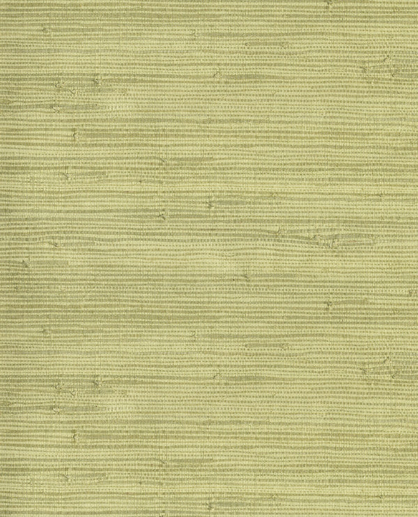 NATURAL WALLCOVERINGS III Wallpaper Pattern No E303502