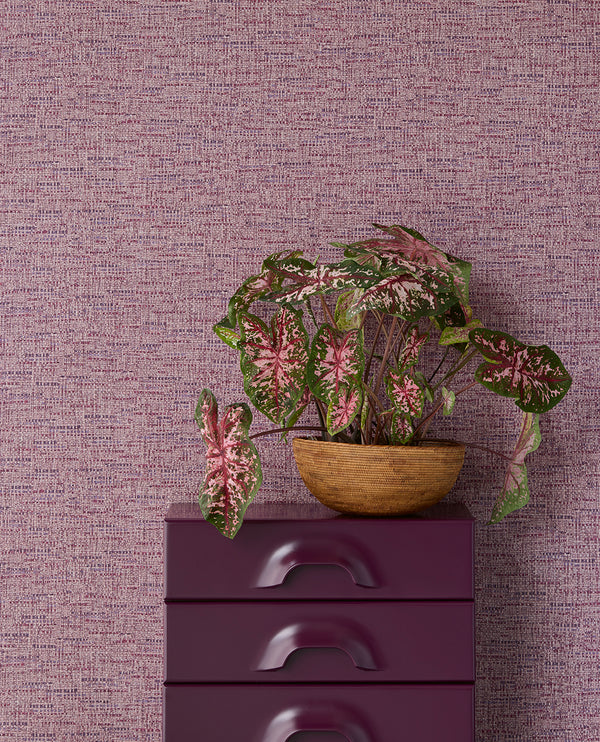 GROOVY Wallpaper Pattern No E340534 - Online Exclusive