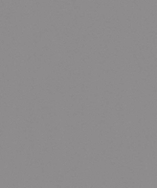 PINT WALLS Wallpaper Pattern No 3493-16