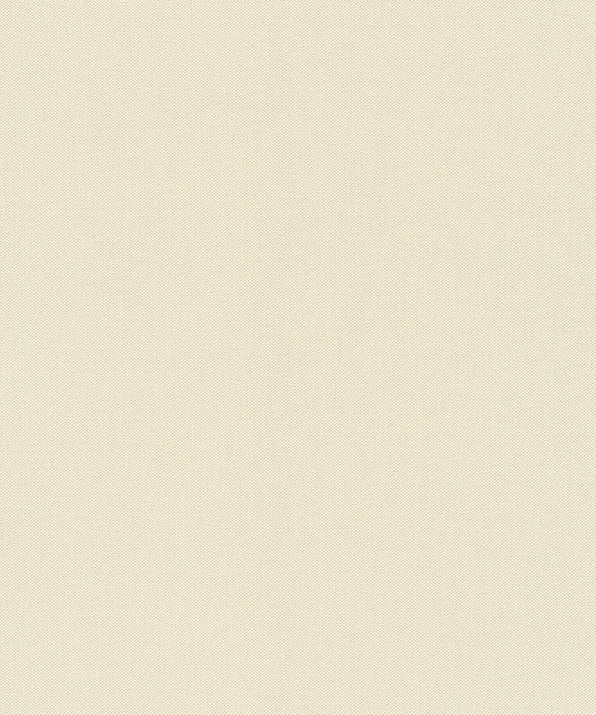 WALL TEXTURES V Wallpaper Pattern No 424058