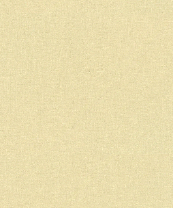 WALL TEXTURES V Wallpaper Pattern No 447521