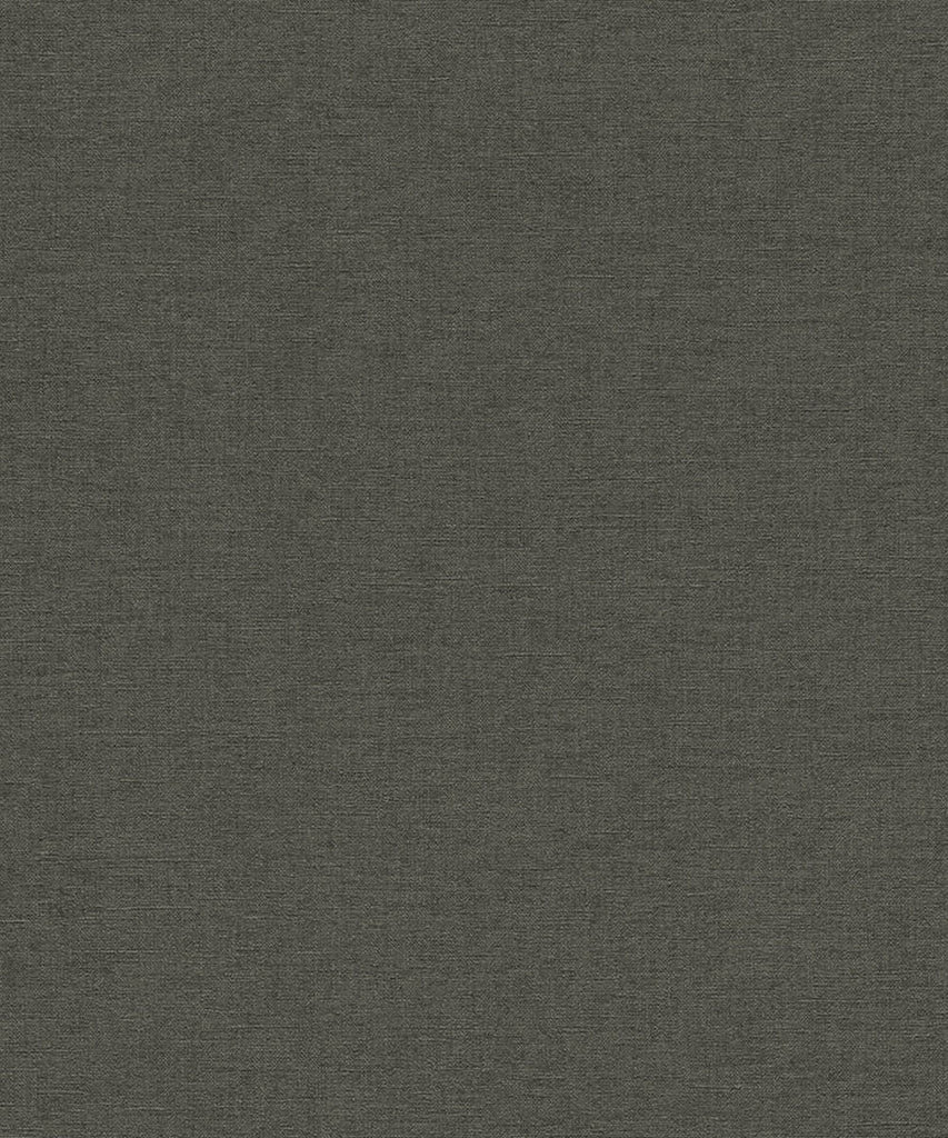 SALSA Wallpaper Pattern No 449853