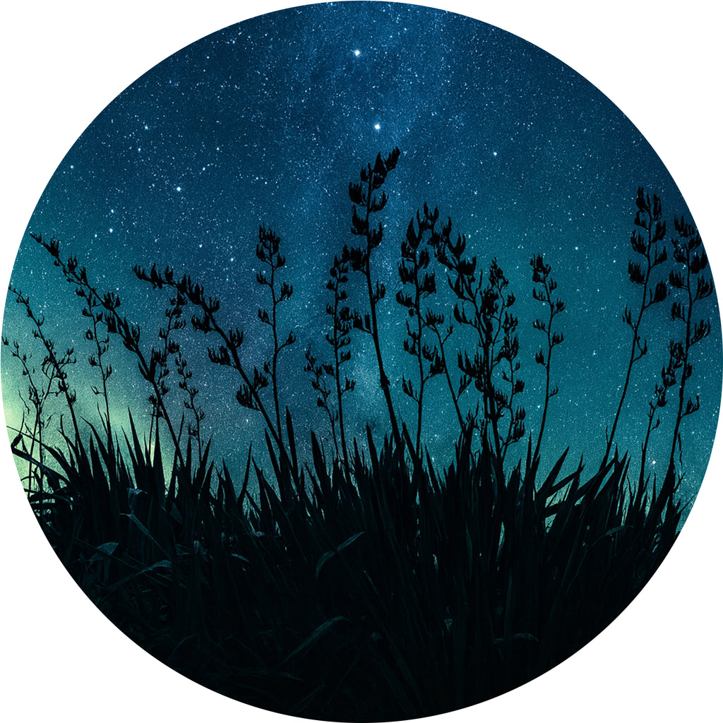 CIRQUE ACT TWO Pattern No HARAKEKE  (63077)