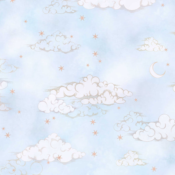 BRAND MCKENZIE Wallpaper Pattern No BMCF003/10A - Starry Clouds