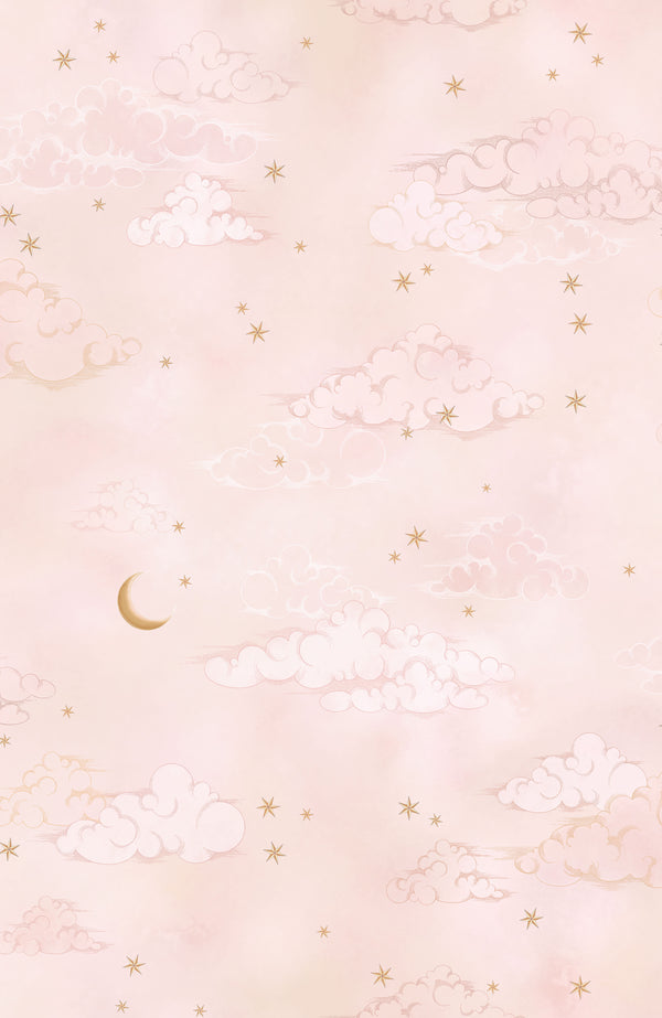 BRAND MCKENZIE Wallpaper Pattern No BMCF003/10D - Starry Clouds