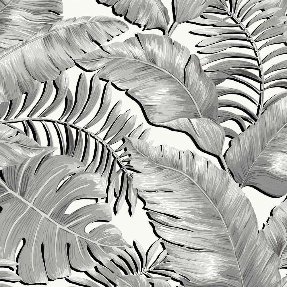 BRAND MCKENZIE Wallpaper Pattern No BMTD001/06A - Banana Leaves Standard