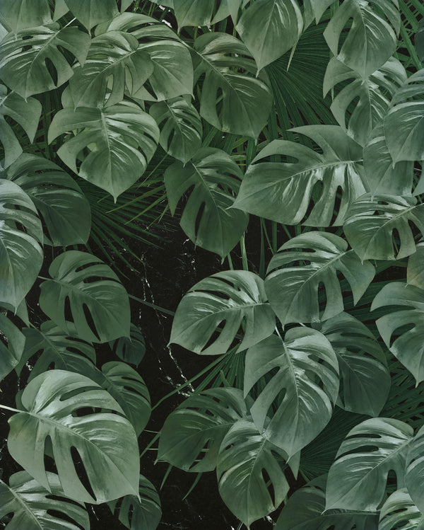 KOMAR PURE Wallpaper Pattern No P035-VD2