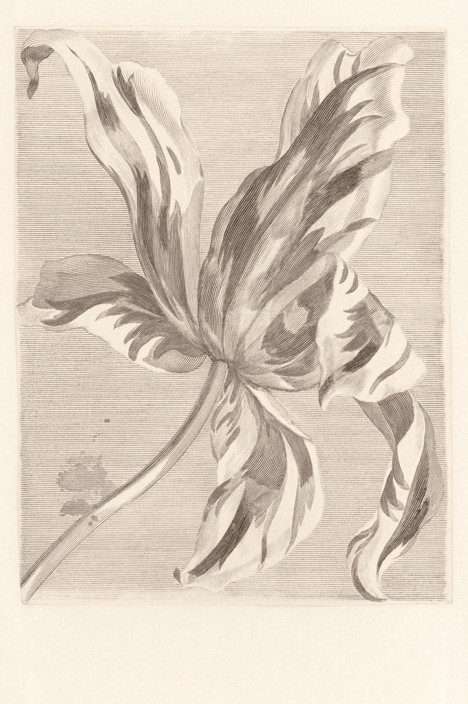 MASTERPIECE Wallpaper Pattern No E358117