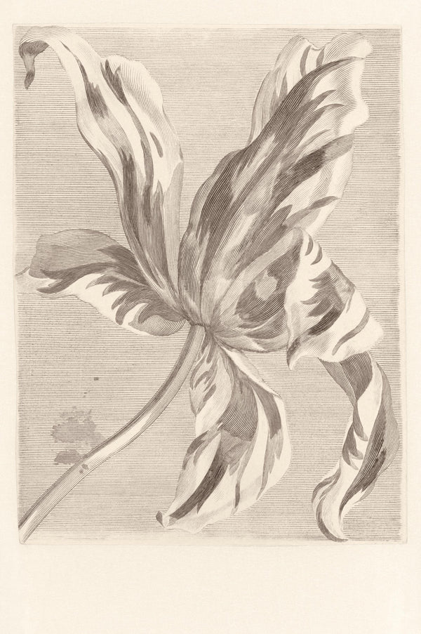 MASTERPIECE Wallpaper Pattern No E358117