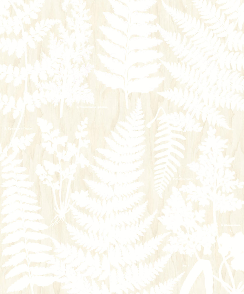 GEONATURE Wallpaper Pattern No E366106