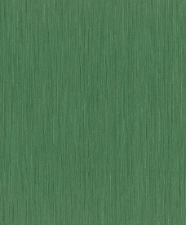 CURIOSITY Wallpaper Pattern No 537673