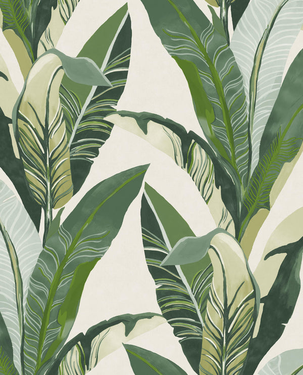 VIVID Wallpaper Pattern No E384500