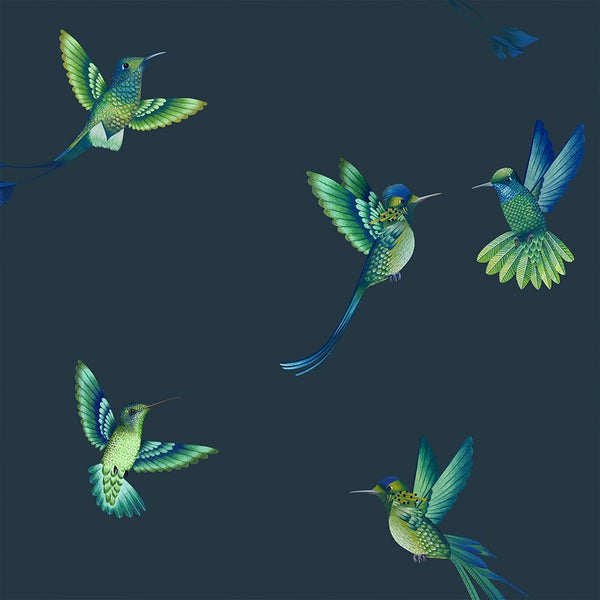 BRAND MCKENZIE Wallpaper Pattern No BMTD001/08C - Exotic Birds