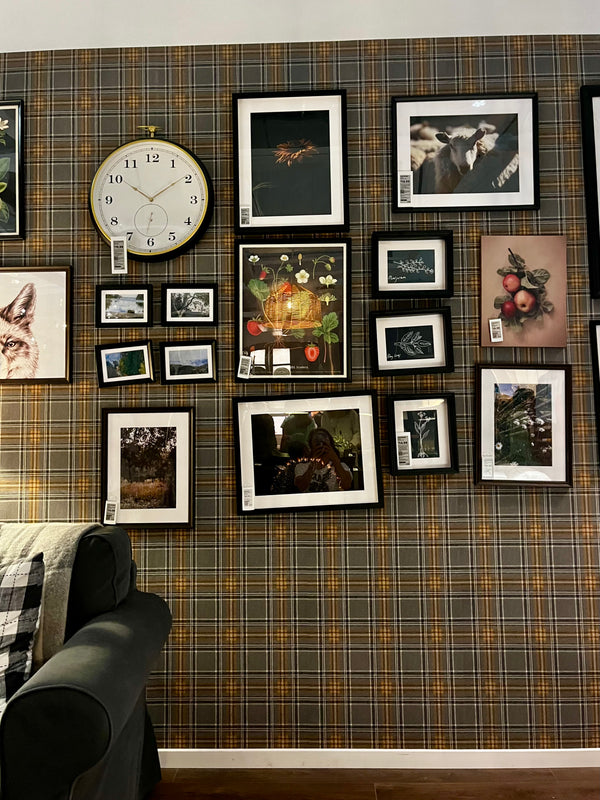 CURIOSITY Wallpaper Pattern No 537451