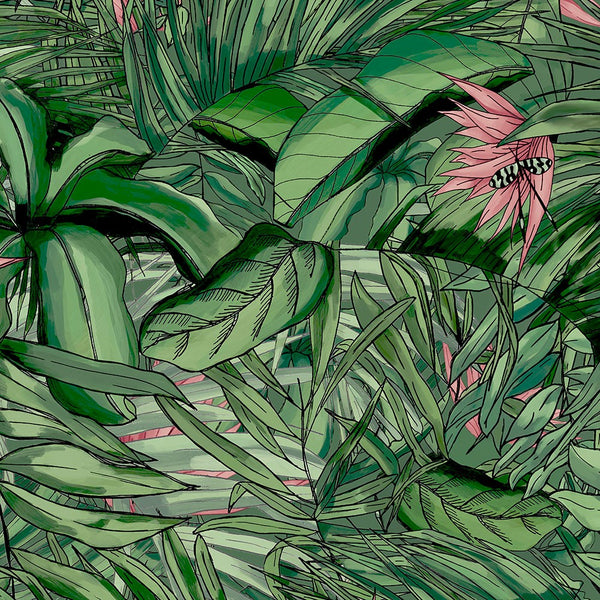 BRAND MCKENZIE Wallpaper Pattern No BMTD001/15A - Tropical Forest
